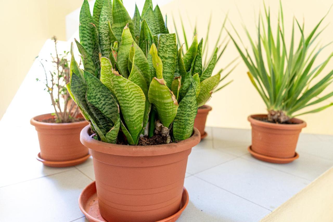 Yolo House - Corralejo Apartment Luaran gambar